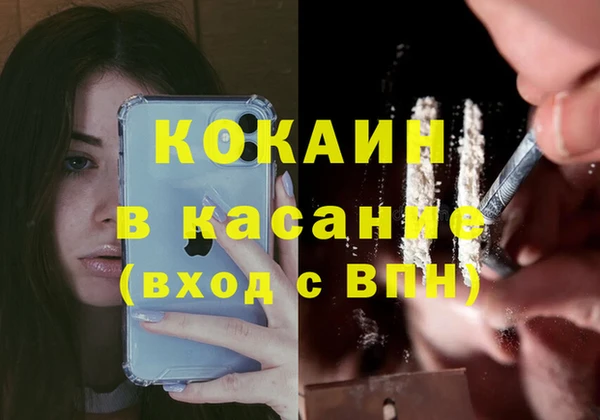 мяу мяу мука Михайловск