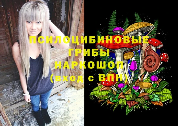 spice Михайловка
