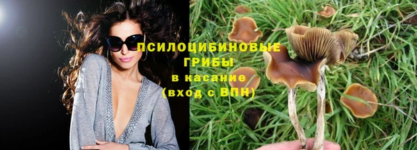 spice Михайловка