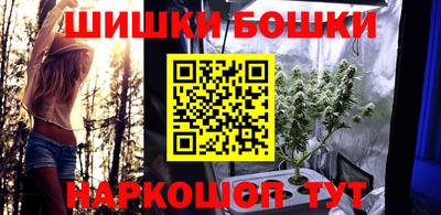 шишки Берёзовский