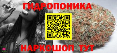 шишки Берёзовский