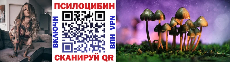 где найти наркотики  Всеволожск  Псилоцибиновые грибы GOLDEN TEACHER 