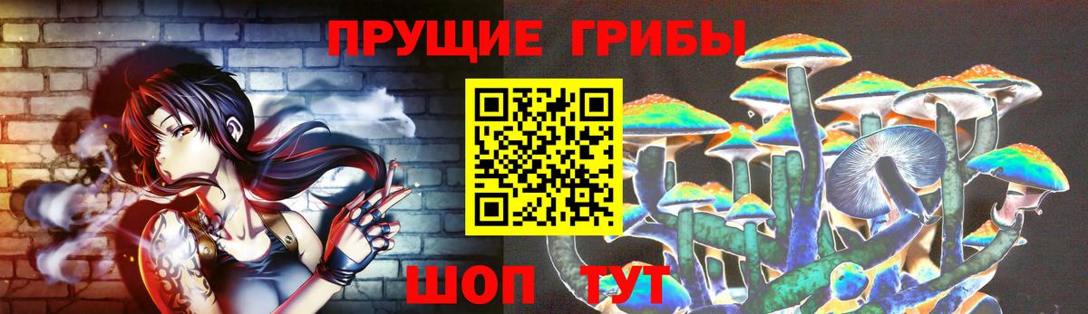 Всеволожск  Псилоцибиновые грибы Cubensis  Вход с VPN 