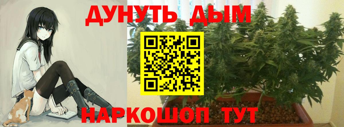 Бошки Шишки Amnesia  МАРИХУАНА марихуана  Канабис MAZAR  Всеволожск 